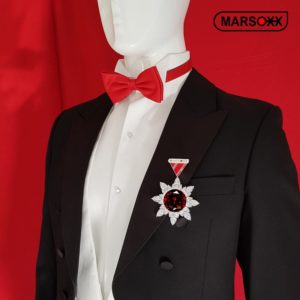 Zirkonia-Brosche Rubin Schmuck-Orden-Design MARSOXX